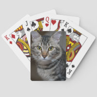 Créez Votre Propre Photo de Chat Personnalisée