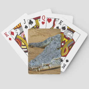 Jeu De Cartes Crocodile