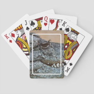 Jeu De Cartes Crocodile