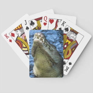 Jeu De Cartes Crocodile Dents Eau