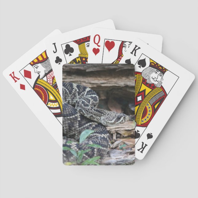 Jeu De Cartes Crotale (dos)