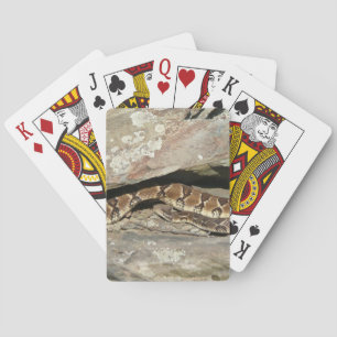 Jeu De Cartes Crotale dans le parc national de Shenandoah