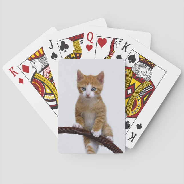 Jeu De Cartes Cute Baby Chat Kitten Jouer Funny Gym Photo - (dos)