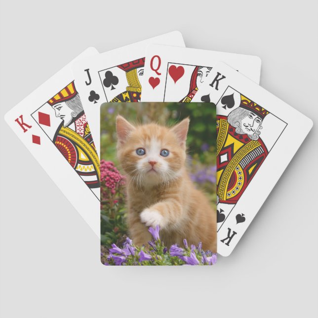 Jeu De Cartes Cute chaton gingembre dans un jardin (dos)