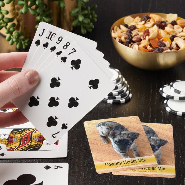 Jeu De Cartes Cute Cowdog Heeler Mix Modèle de chiot Photo (In Situ)