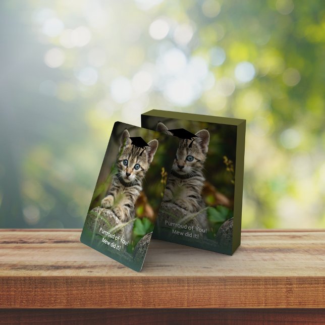 Jeu De Cartes Cute Graduation Kitten (Créateur téléchargé)