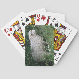 Jeu De Cartes Cute Greedy Sheep Eating Playing Cards