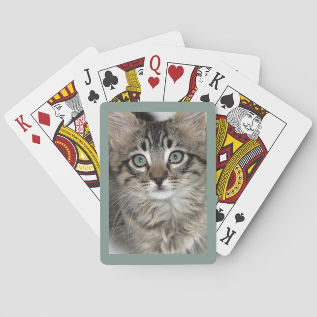 Jeu De Cartes Cute Kitten Closeup Jouer aux cartes (dos)