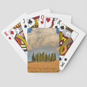 Jeu De Cartes Cyprès de Toscane