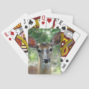 Jeu De Cartes D33 Cerf à queue blanche femelle