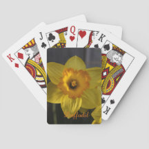 Daffodique jaune