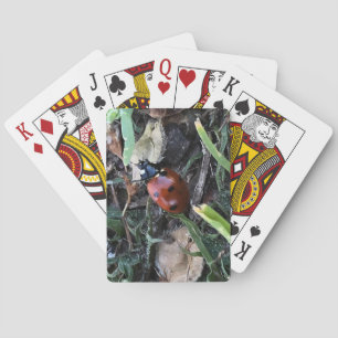 Jeu De Cartes Dame