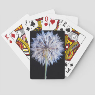 Jeu De Cartes Dandelion (Taraxacum Officinale)