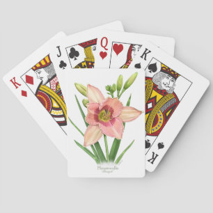 Jeu De Cartes Daylily - Svengali