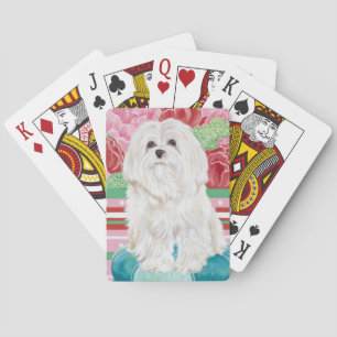 Jeu De Cartes Della Rose Maltese