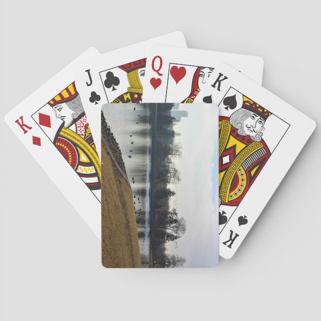 Jeu De Cartes Denver City Park (dos)