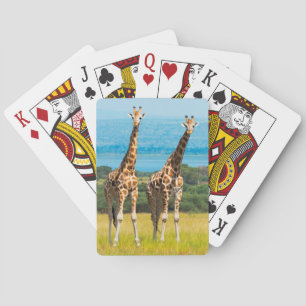 Jeu De Cartes Des girafes sur la savane, Ouganda