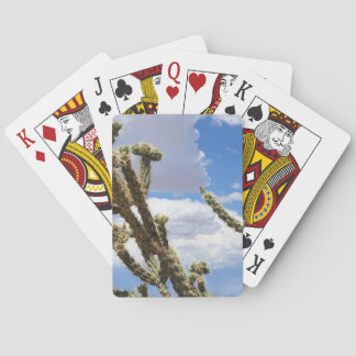 Jeu De Cartes Desert Cactus Blu Sky