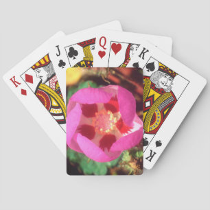Jeu De Cartes Desert Five Spot Wildflower