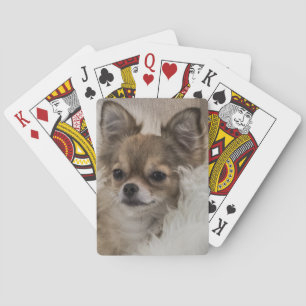 Jeu De Cartes Détente du Chihuahua gâté