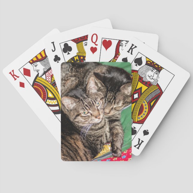 Jeu De Cartes Deux chats en difficulté  (dos)