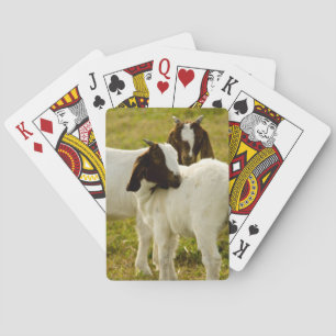 Jeu De Cartes Deux chèvres