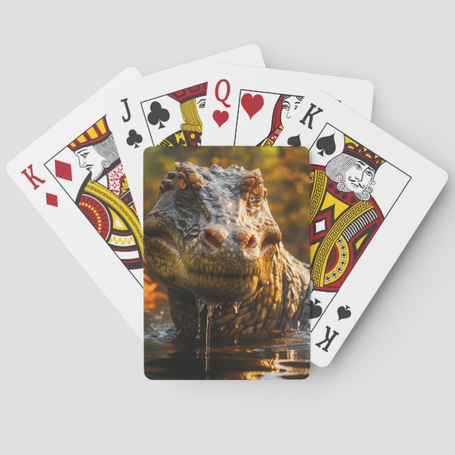 Jeu De Cartes Dinosaure (dos)