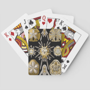 Jeu De Cartes Dollars de sable d'oursins de mer vintage par Erns