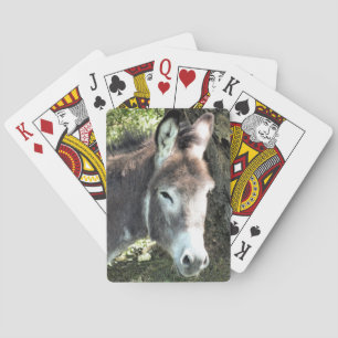 JEU DE CARTES DONKEY