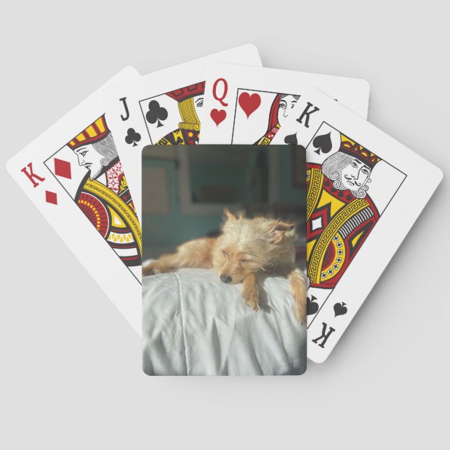 Jeu De Cartes Dormir de Phoboe (dos)
