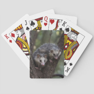 Jeu De Cartes Double difficulté dans la canopée : Sommes jumelle