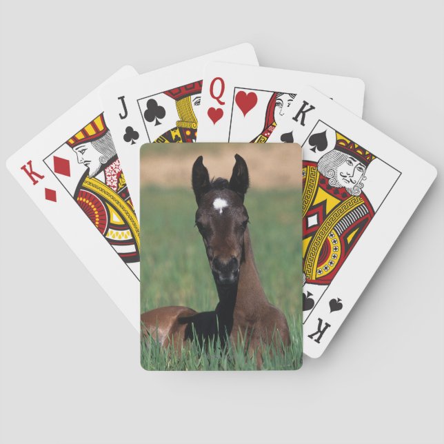 Jeu De Cartes Down (dos)