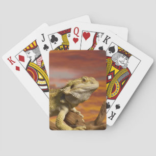 Jeu De Cartes Dragon à épaulettes (Pogona Vitticeps) sur branche