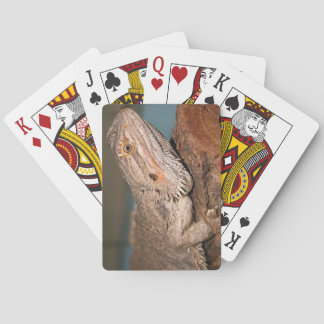 Jeu De Cartes Dragon barbu