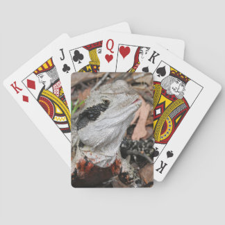 Jeu De Cartes Dragon d'eau oriental
