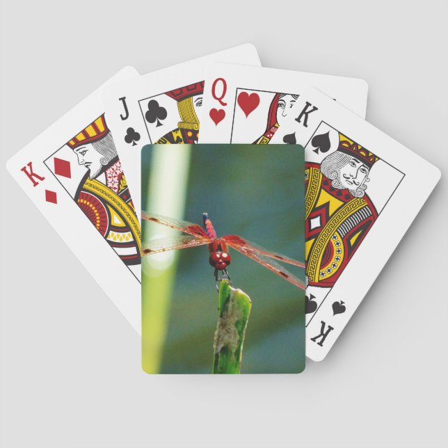 Jeu De Cartes Dragonfly frontale rouge et noire (dos)