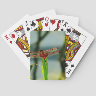 Jeu De Cartes Dragonfly rouge et noire tachetée