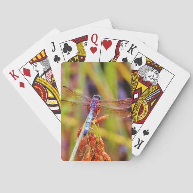Jeu De Cartes Dragonfly turquoise sur le carex (dos)