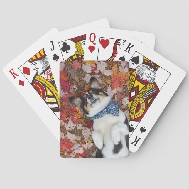 Jeu De Cartes Drôle, mignon, regard de corgi (dos)