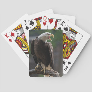 Jeu De Cartes Eagle chauve appelle
