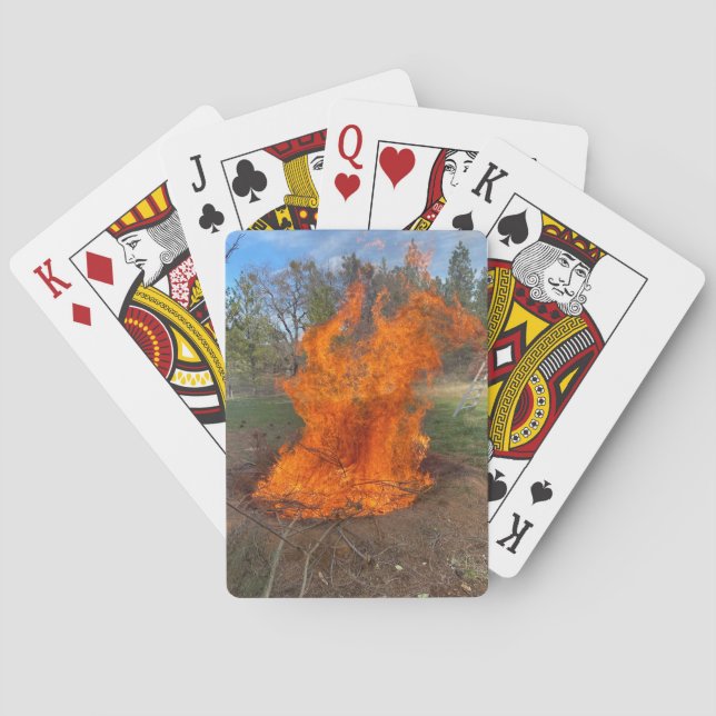 Jeu De Cartes Earth Pit Biochar (dos)