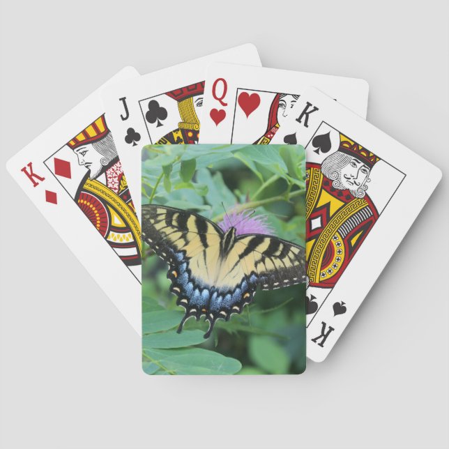Jeu De Cartes Eastern Tiger Swallowtail (dos)