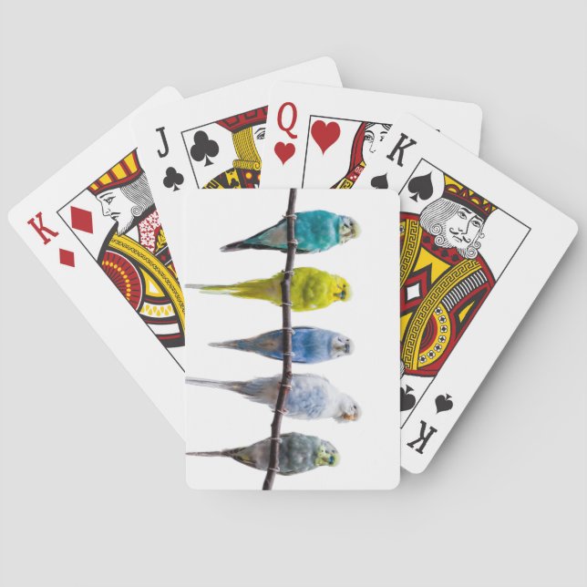 Jeu De Cartes Économies (dos)