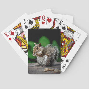 Jeu De Cartes Écureuil avec des arachides