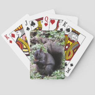 JEU DE CARTES ÉCUREUIL DE BAIE DE BOULEAU