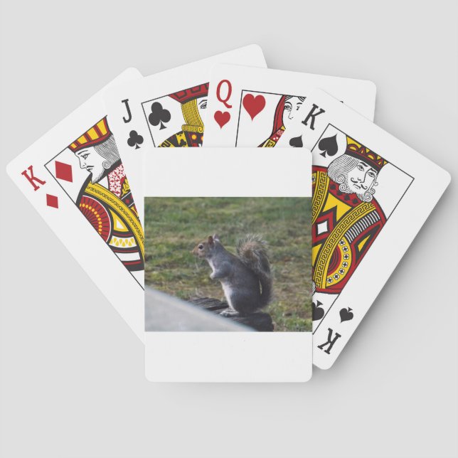 Jeu De Cartes Écureuil gris (dos)