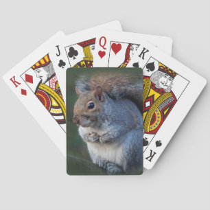 Jeu De Cartes Écureuil gris Jouer aux cartes