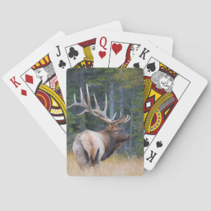 Jeu De Cartes Élan mâle des montagnes Rocheuses