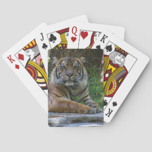 Jeu De Cartes Élégant