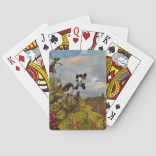 Jeu De Cartes Elegant Holly Christmas,